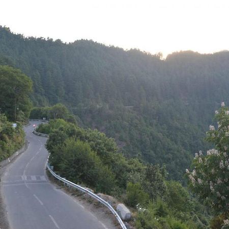 Hotel Crystal Palace Dhanaulti Bagian luar foto